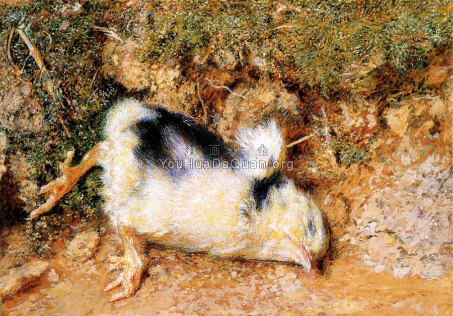 John Ruskin's dead chick - 威廉·霍尔曼·亨特